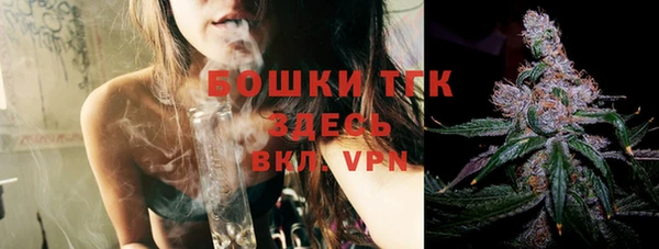 молекула духа Богородицк