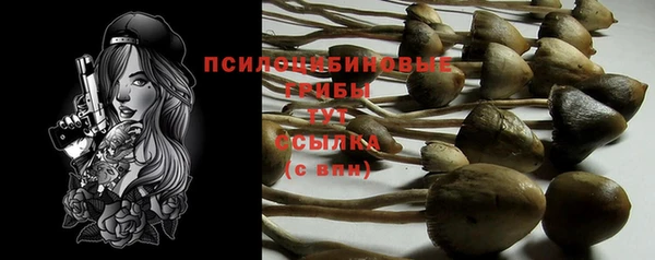таблы Богданович
