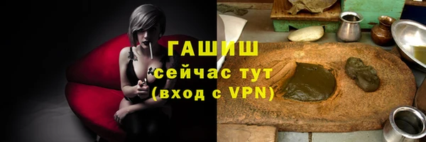 молекула духа Богородицк