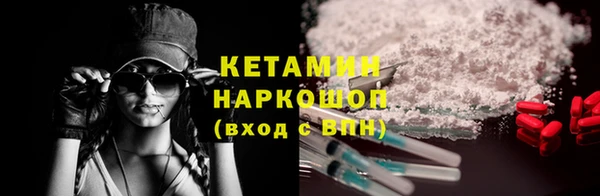 молекула духа Богородицк