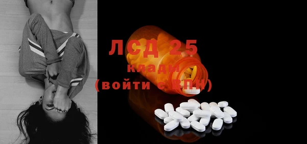 молекула духа Богородицк