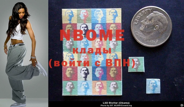 молекула духа Богородицк