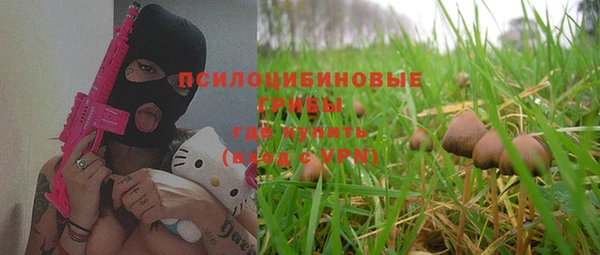 таблы Богданович