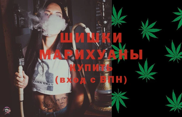 молекула духа Богородицк